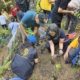 Rotarians and volunteers planting at Hattiban during the joint plantation in August 2026
