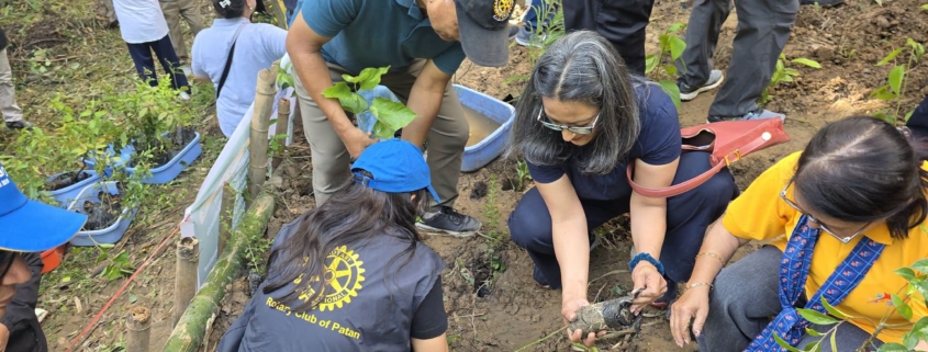 Rotarians and volunteers planting at Hattiban during the joint plantation in August 2026