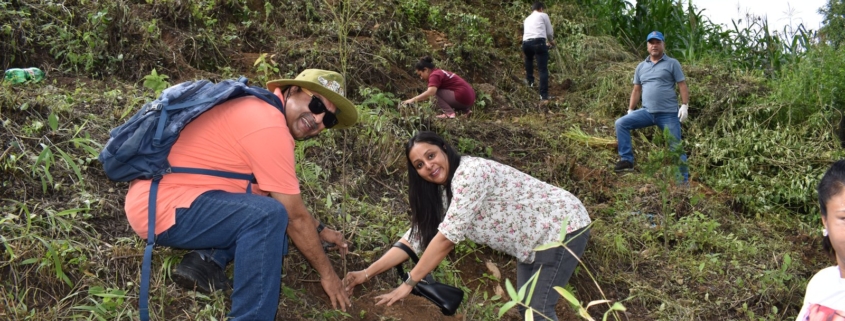Community members planting saplings on a hillside during the Bungamati plantation programme