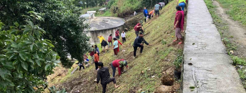 Volunteers carrying out the joint tree plantation on the Bungamati hillside